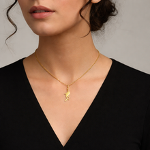 Colar Dourado com Pingente Peixe em Aço Inoxidável Romanely