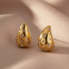 Butterfly Earrings in Gold Stainless Steel